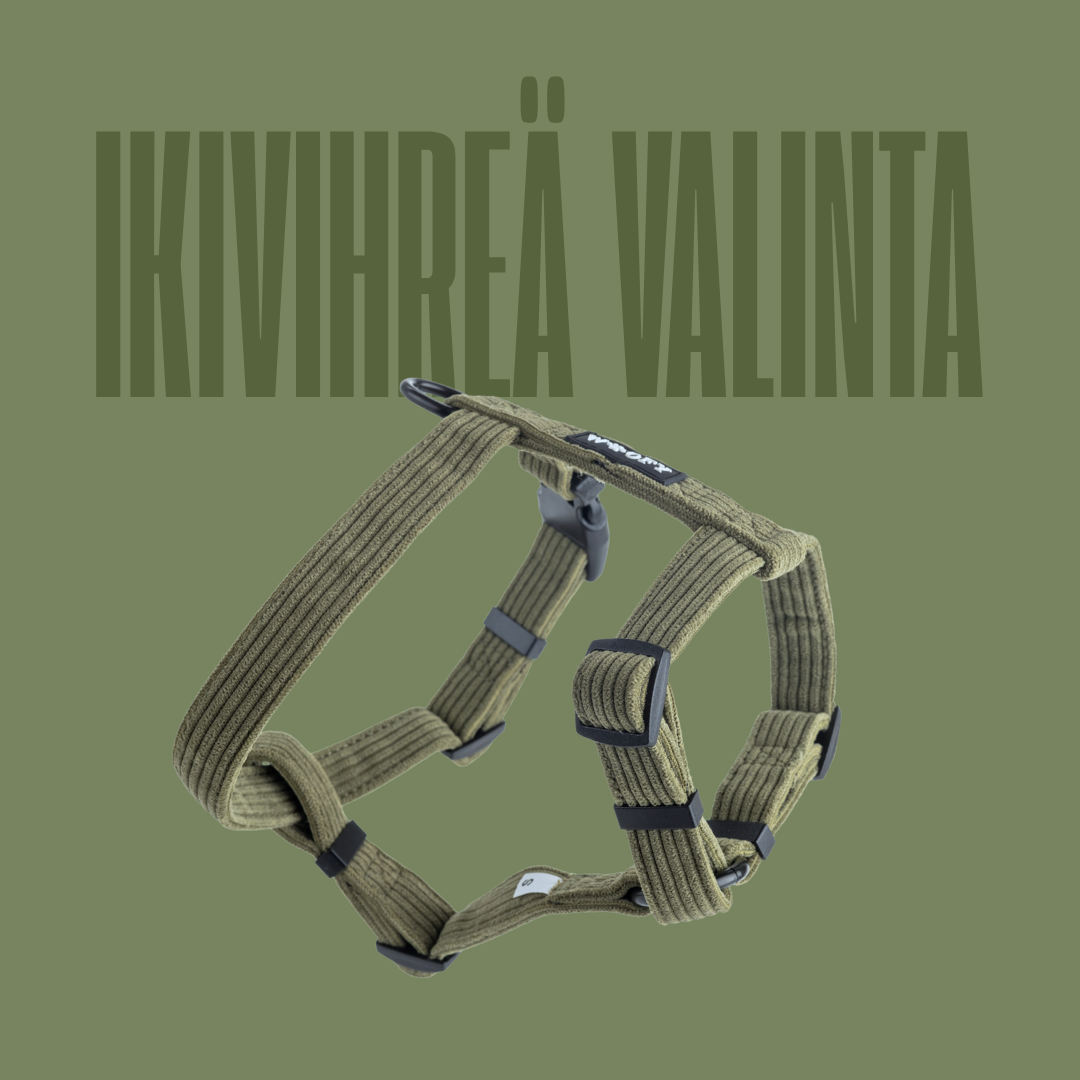 Soft Fit koiran valjaat