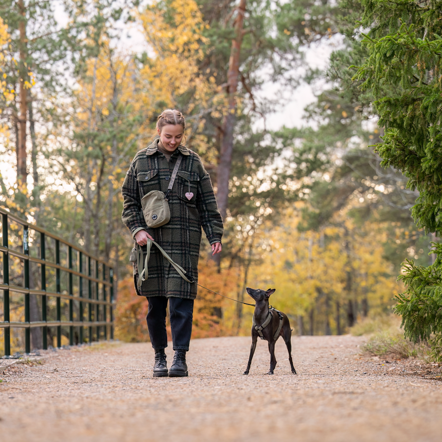 Koiran ulkoilutus kassi