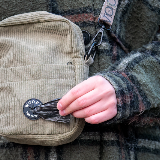 Koiran ulkoilutus kassi