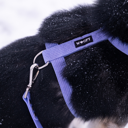 Tuotepaketti: Koiran hands-free ulkoilusetti (valjaat, arkihihna, FreePaws-adapteri s/m-koko) - liila