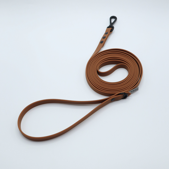 SOFT regular leash