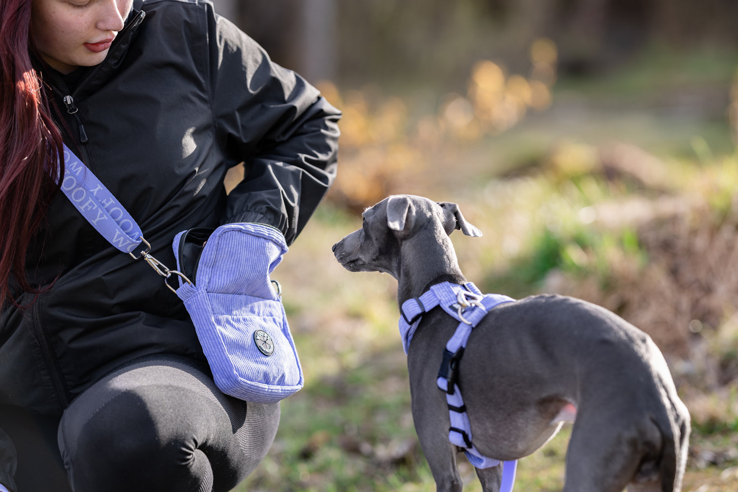Italian vinttikoira odottaa herkkuja Woofyn kätevästä ulkoilulaukusta. Omistajalla kaunis liila Daily Walking Bag, joka sopii täydellisesti koiran valjaisiin samassa värissä. 