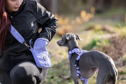 Italian vinttikoira odottaa herkkuja Woofyn kätevästä ulkoilulaukusta. Omistajalla kaunis liila Daily Walking Bag, joka sopii täydellisesti koiran valjaisiin samassa värissä. 