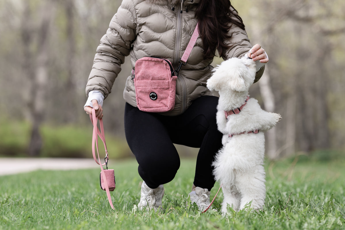 Daily Walking Bag / Ulkoilulaukku