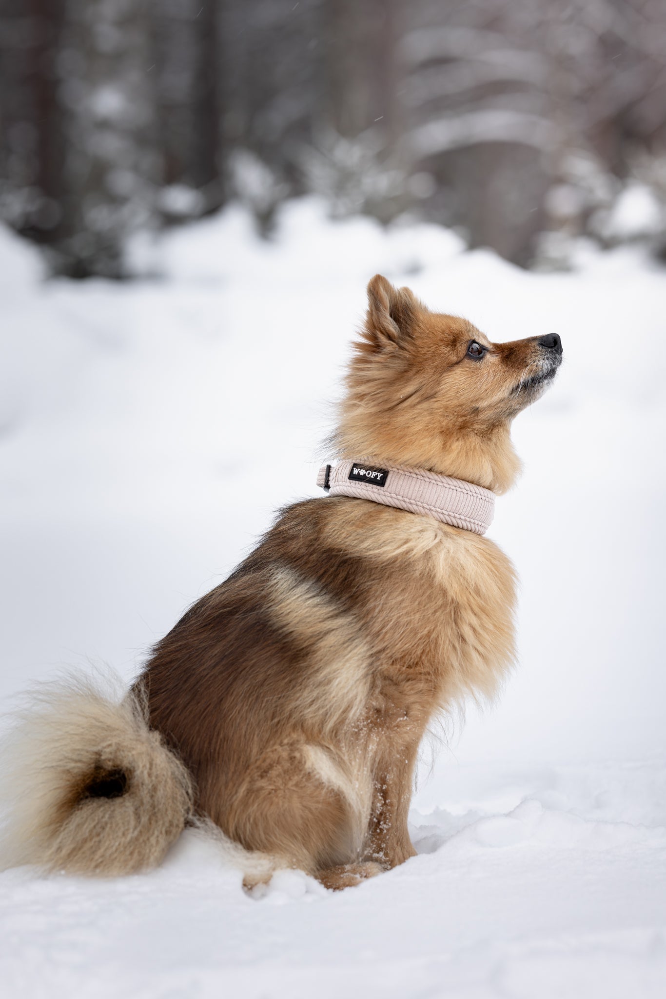 Kuvassa mittelspitz talvimaisemassa kaulassa beach SOFT kaulapanta.