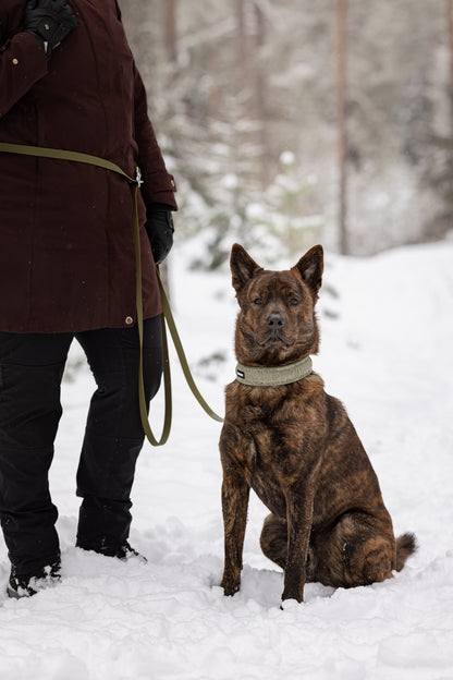 Kuvassa kainkoira ja vihreä monitoimihihna vyötäröllä sekä vihreä kaulapanta koiralla.