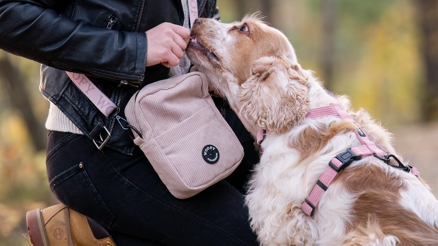Beach sävyinen Woofy ulkoilulaukku ja vaalea cockerspanieli. Cockerspanielin päällä Woofyn Blossom sävyiset valjaat.