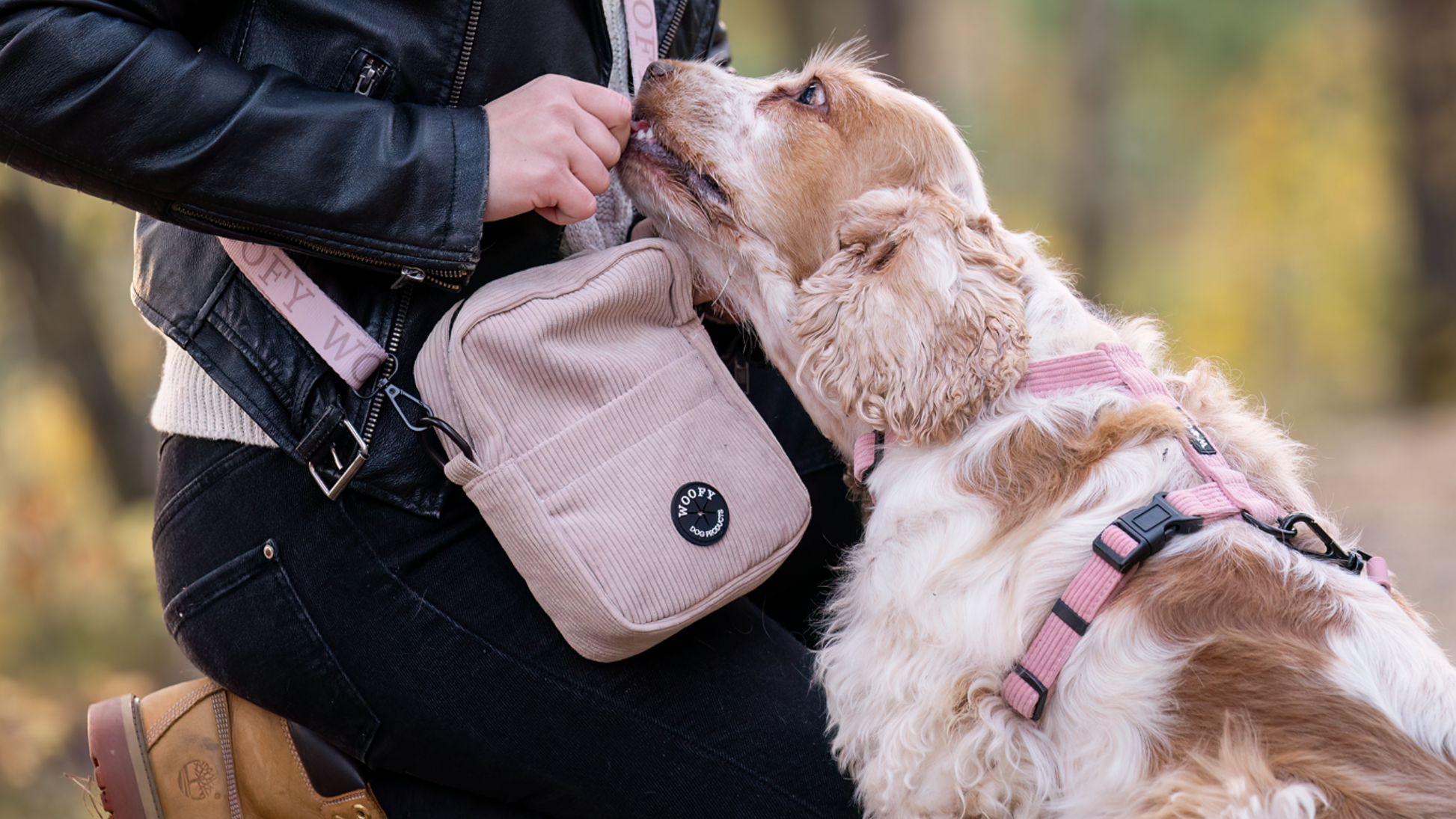 Beach sävyinen Woofy ulkoilulaukku ja vaalea cockerspanieli. Cockerspanielin päällä Woofyn Blossom sävyiset valjaat.