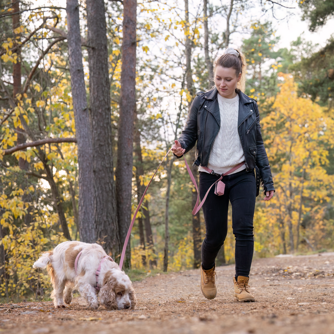 Multifunction leash