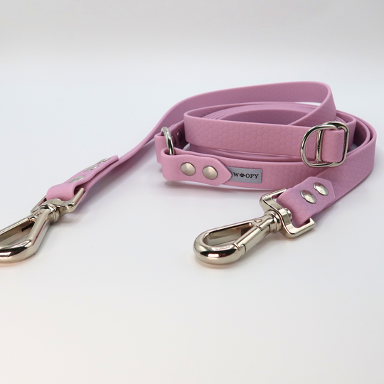 Customisable HEXA multifunction leash