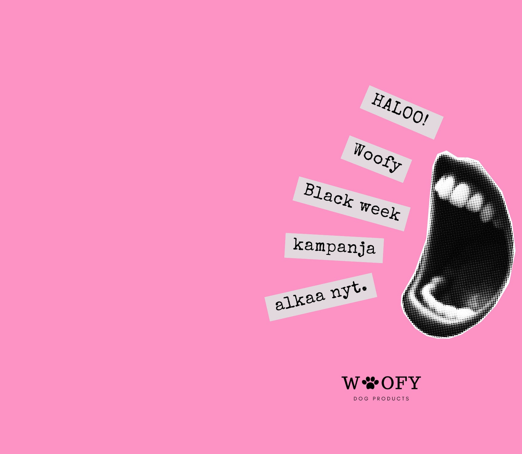 Woofyn Black Friday alkaa