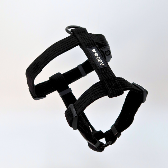 Soft dog harness 2.0 - Onyx