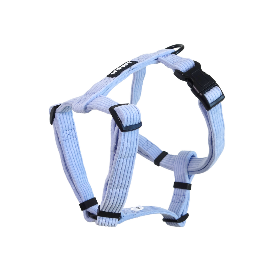 Y-harness for dog #sky