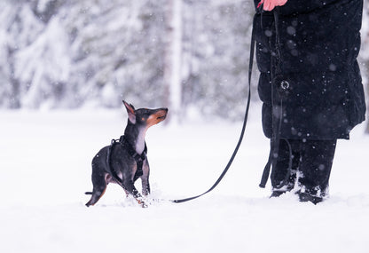Tuotepaketti: Soft Monitoimihihna + Soft Kakkapussipidike