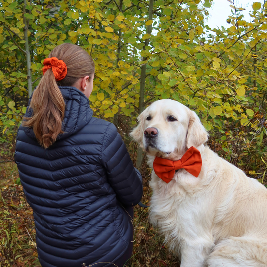 'Pumpkin' bow tie