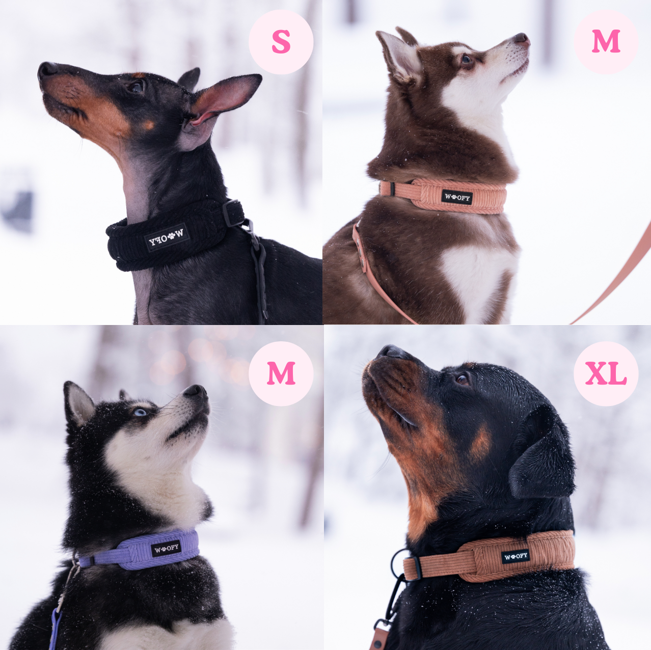 Soft kaulapanta eri koiramallien päällä. Esittelyssä koot S, M ja XL.