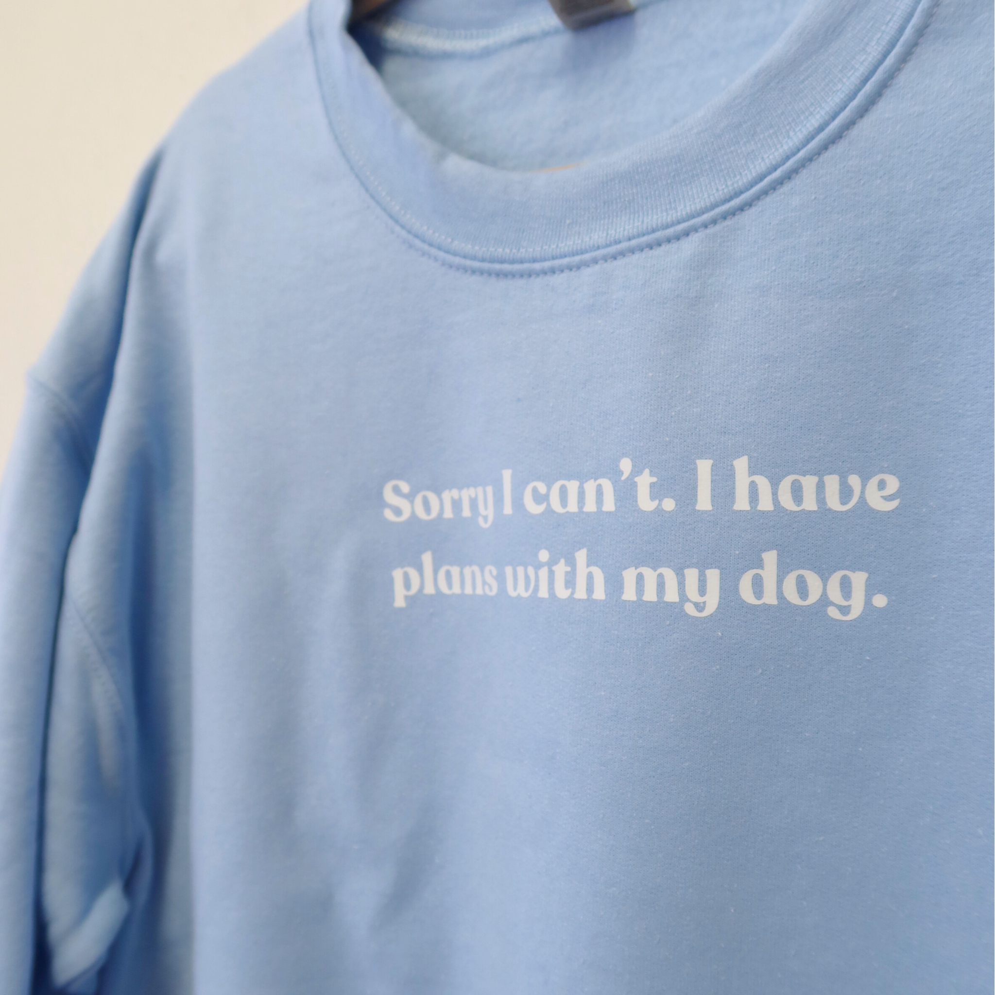 'Plans with my dog' sweatshirt