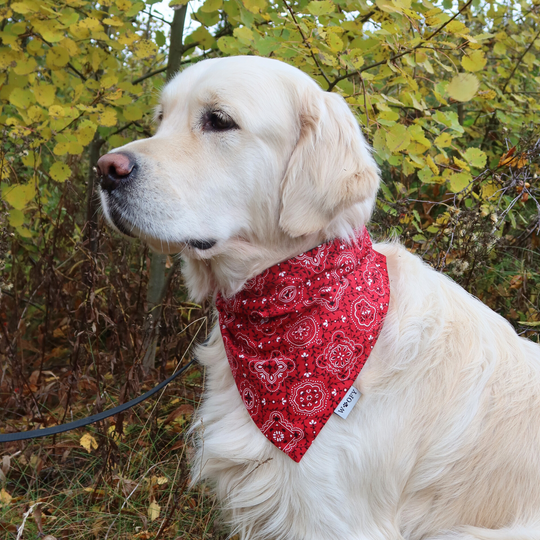 'Ruby' bandana