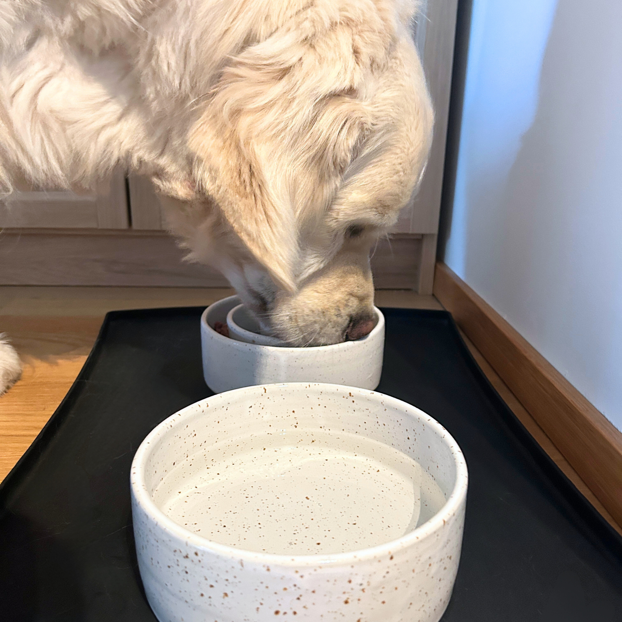 Ceramic slow feeder 🇫🇮