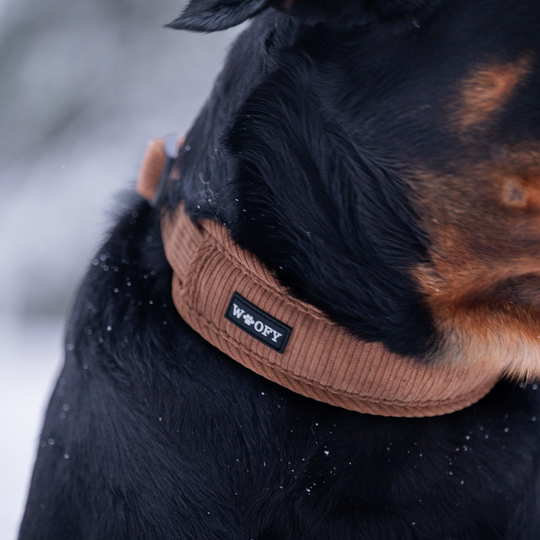 Soft dog collar 2.0 - Teddy