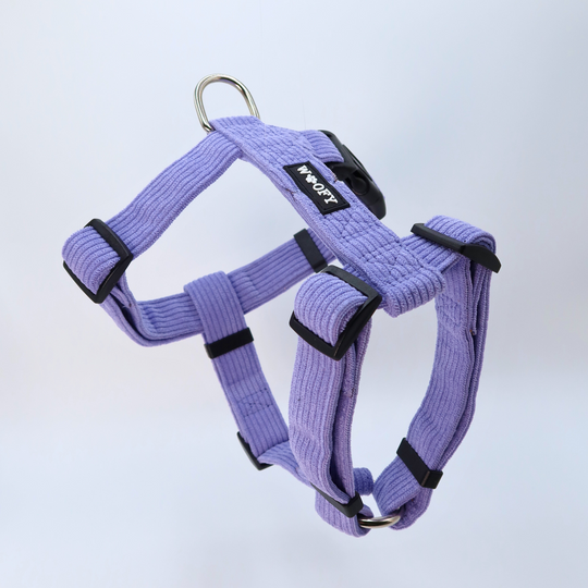 Soft dog harness 2.0 - Violet