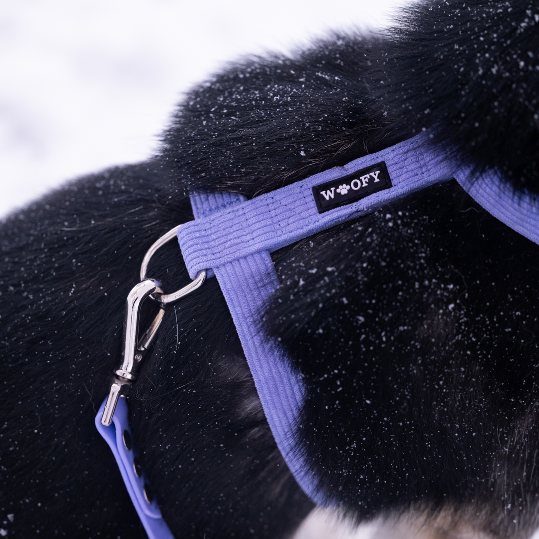 Soft dog harness 2.0 - Violet